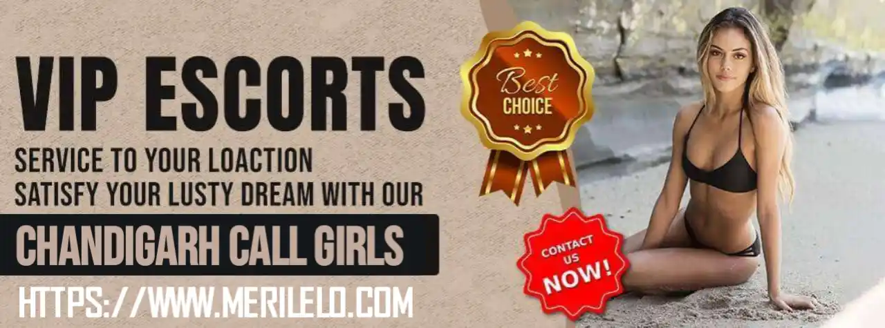 Escorts Vip Chandigarh Banner
